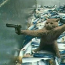 avatar 𐙚fridaykoo꒱