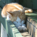 avatar Agaaataaaaaaaaaa