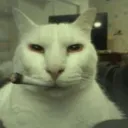 [RS] vaaaaaaanes