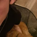 whosmixoo