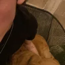whosmixoo