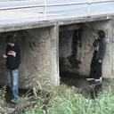 creamykiwi247