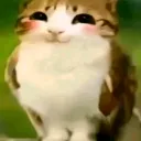 pabl_0.s_00799 avatar