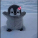 avatar 𝓜𝓪𝔂𝓪