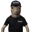 d4rkdeveloper