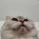hjune