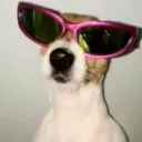 tomikss1323_75020 avatar