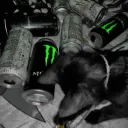 .cvls