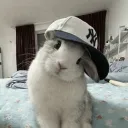 butterflyprospect
