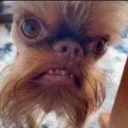 mramonkey avatar