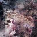 totallynotsyl_60430's Avatar