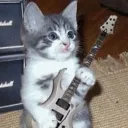 arroz_con_poyitooo avatar