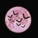 avatar 𝖒𝖔𝖚𝖘𝖊