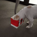 avatar BondsUnderwear