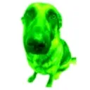 ietbi_aicionli avatar