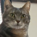 avatar LAVABO EN MARBRE🔺