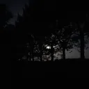 abnormalearmuffs avatar