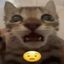 itsbr0dyy