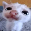 0xfeedc0de