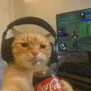 cr1sty.w