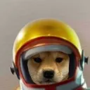 skittle_lt