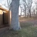 adamcanad8