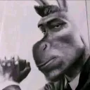 matalatas.2000 avatar