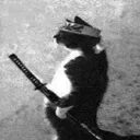 battlefool21