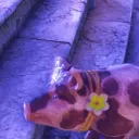 pimperpamela_24558