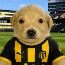 lucasmanya_