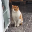 tekla_00