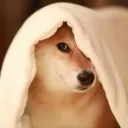 ghostydog