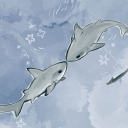 avatar ᴶᵉˡˡʸ ˙ᵕ˙