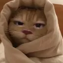 dkaaa2