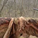 sniper82738