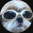 avatar Mr.Sausage_twitch