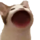 jaspyjasbo