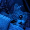 avatar 𝑻𝒉𝒆 𝑪𝒍𝒂𝒓𝒂