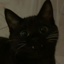avatar Cat