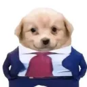 kazikxdlol