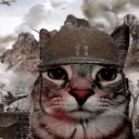dzalter7737 avatar