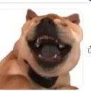 imantifurry
