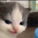 professor_flay avatar