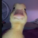 Аватар pash6a_58605