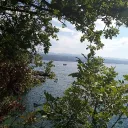 korhu__