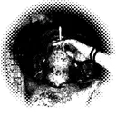 cats_ar3_th3_b3st02