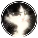 cats_ar3_th3_b3st02