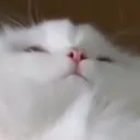 atakupo