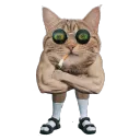 jimkuback