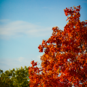 photographerpat#7795's avatar